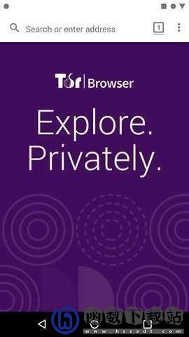 洋葱tor路由器免费版（Tor Browser）